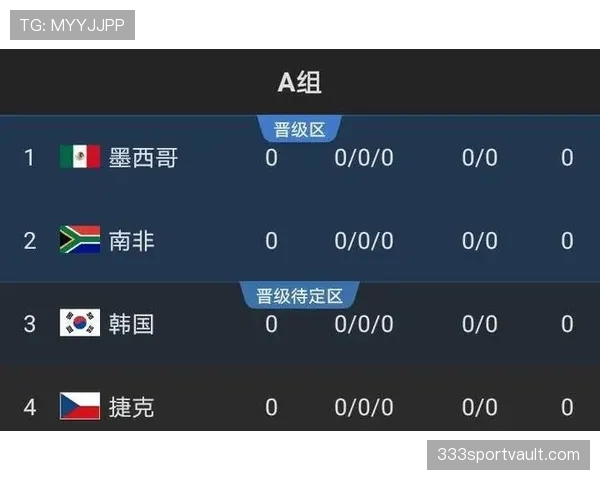 世界杯A组南非比赛策略曝光 世界杯A组南非比赛策略曝光